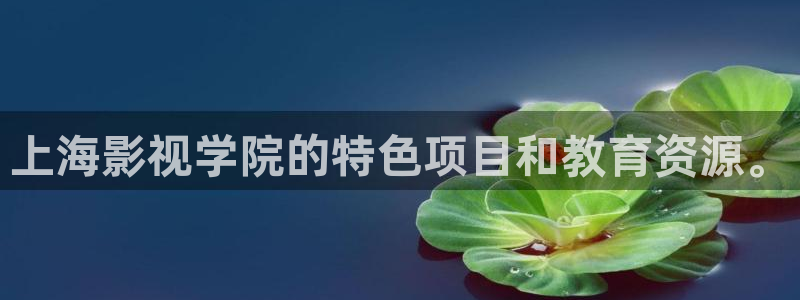 金牌电影：上海影视学院的特色项目和教育资源。