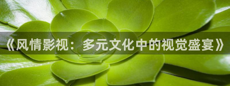 金牌影视官网首页：《风情影视：多元文化中的视觉盛宴》