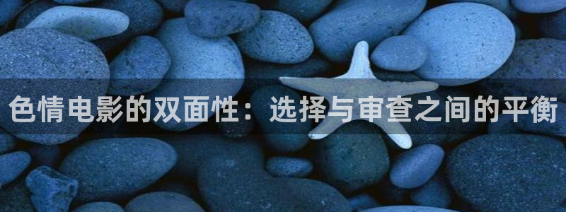 下载金牌影院：色情电影的双面性：选择与审查之间的平衡