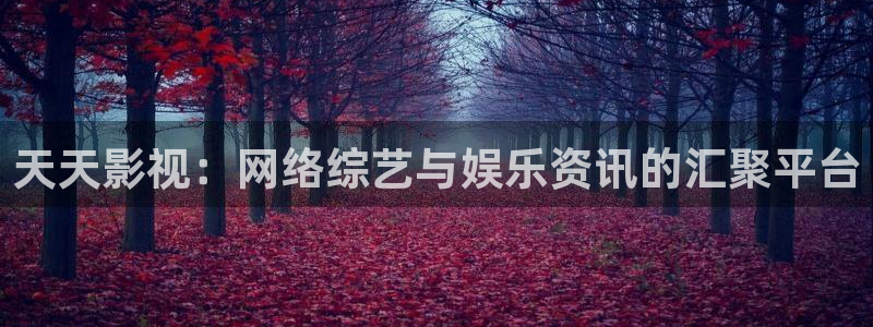 金牌销售电影免费观看全集高清：天天影视：网络综艺与娱乐资讯的汇聚平台