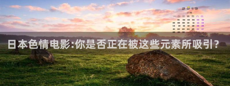 金牌影视电视剧在线观看免费：日本色情电影:你是否正在被这些元素所吸引？